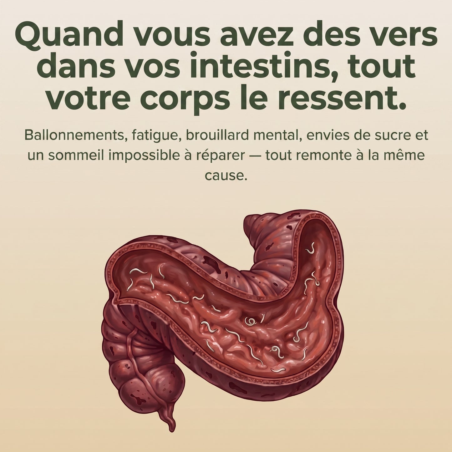 Pack Détox à l'huile de ricin