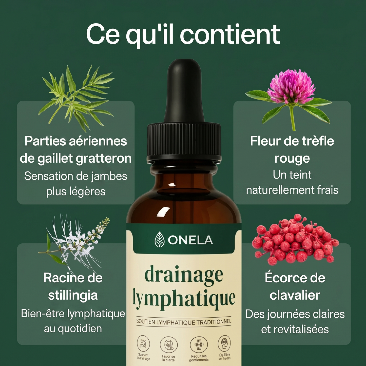 Onela® Drainage Lymphatique