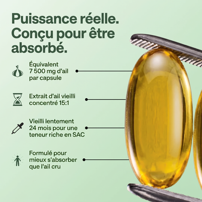 Extrait d'ail vieilli – Capsules sans odeur 7500 mg